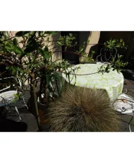 Nappe enduite Hortensia vert