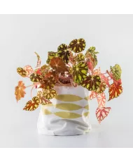 Cache-pot tissu enduit. Panier à fleurs en toile enduite.